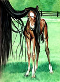 Mares and Foals, Equine Art - I Cant See